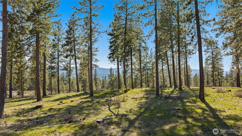 Property photo for 0 Xxx Flying M, Cle Elum photo 6