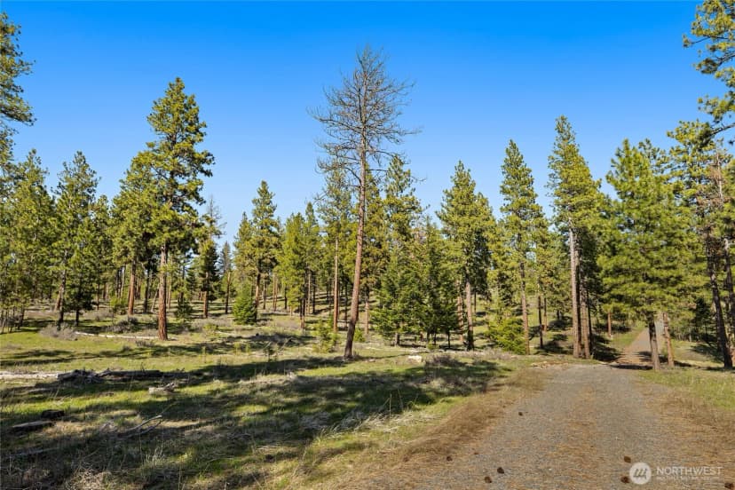 Property photo for 0 Xxx Flying M, Cle Elum photo 10