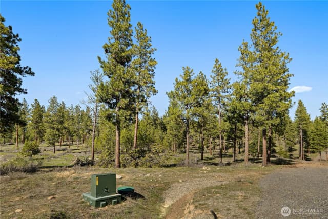 Property photo for 0 Xxx Flying M, Cle Elum photo 5