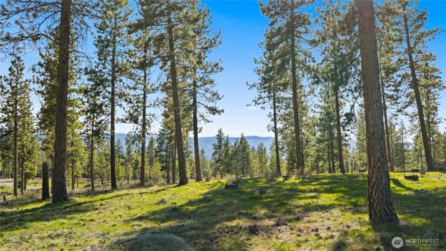 Property photo for 0 Xxx Flying M, Cle Elum photo 3