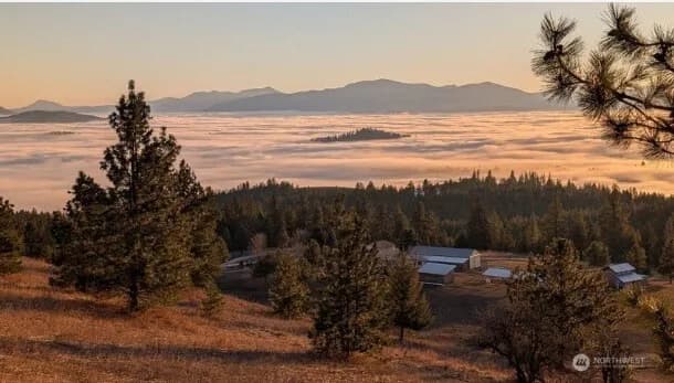 Property photo for 717 Conrad Hill Way, Colville photo 35