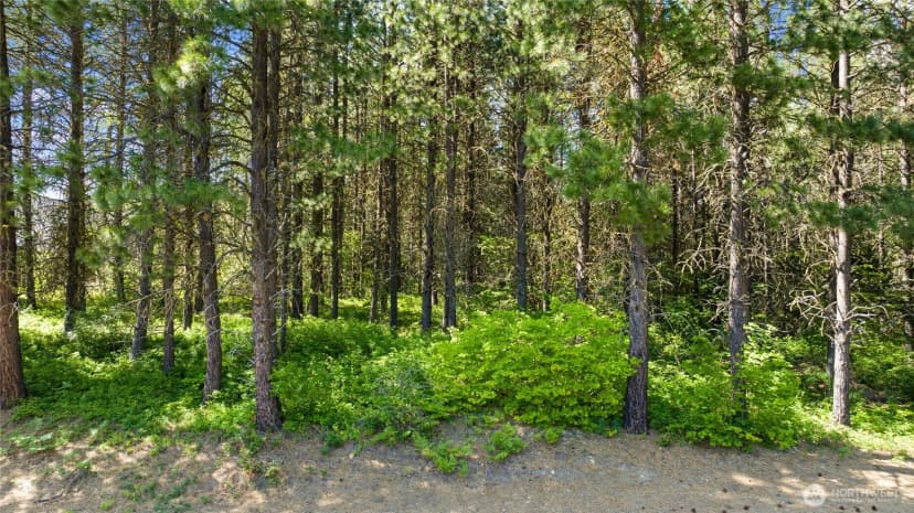 Property photo for 831 Iron Monarch Loop, Cle Elum photo 9
