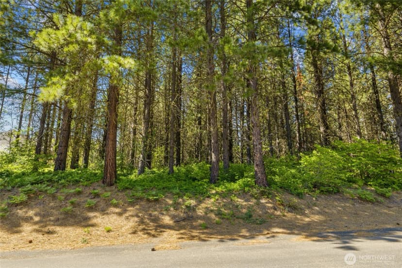 Property photo for 831 Iron Monarch Loop, Cle Elum photo 8