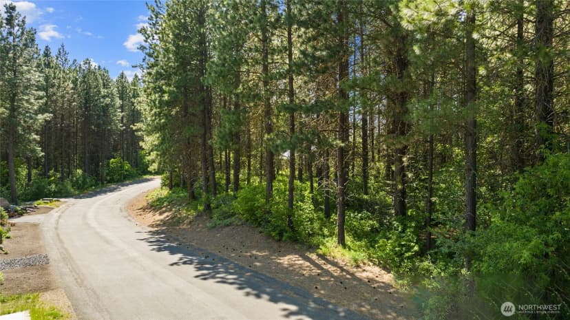 Property photo for 831 Iron Monarch Loop, Cle Elum photo 6