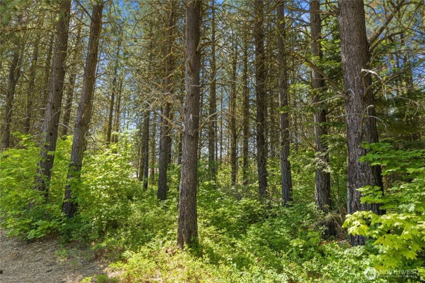 Property photo for 831 Iron Monarch Loop, Cle Elum photo 10