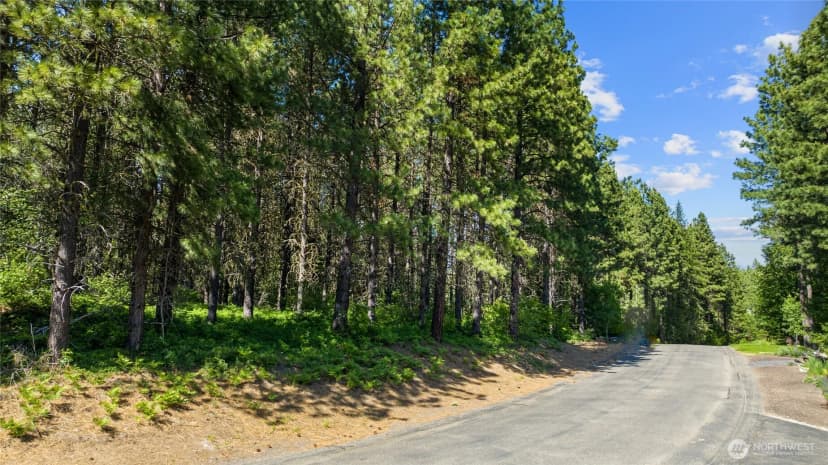 Property photo for 831 Iron Monarch Loop, Cle Elum photo 7