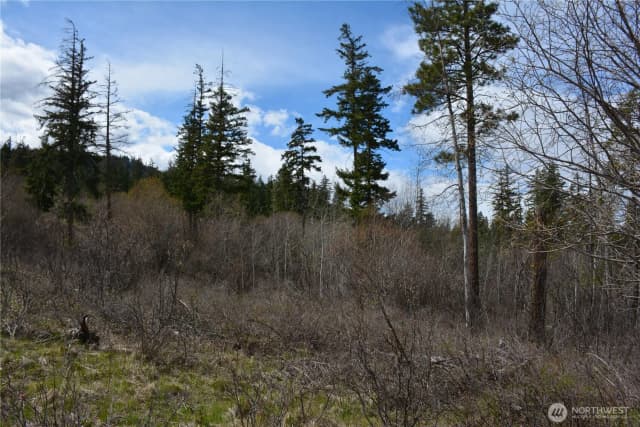 Property photo for 0 Xx Sturgis Road, Cle Elum photo 4