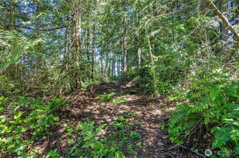 Property photo for 200 Peter Hagen Road Nw, Seabeck photo 30