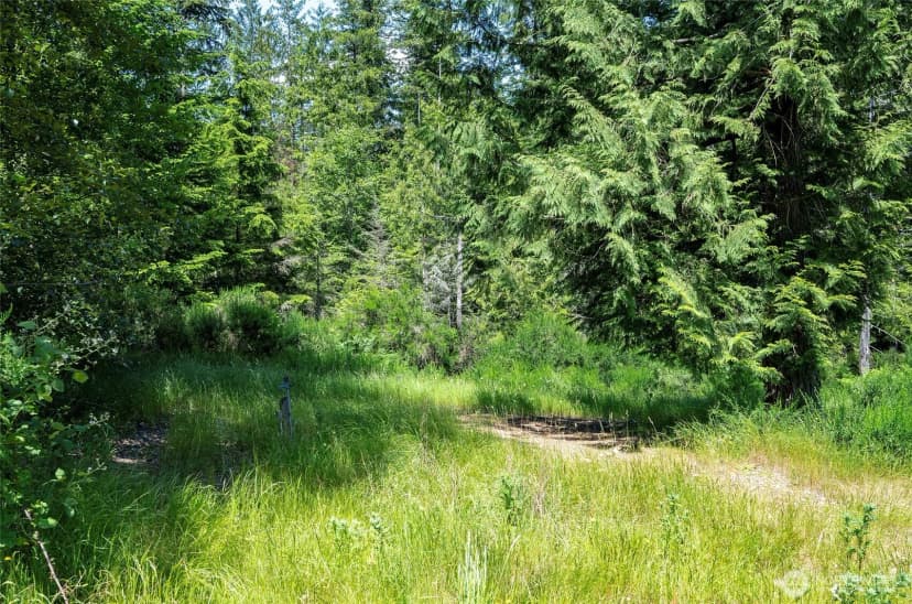 Property photo for 200 Peter Hagen Road Nw, Seabeck photo 29