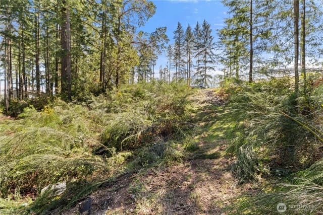 Property photo for 19025 Sw 23rd St, Lakebay photo 3