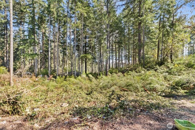 Property photo for 19025 Sw 23rd St, Lakebay photo 2
