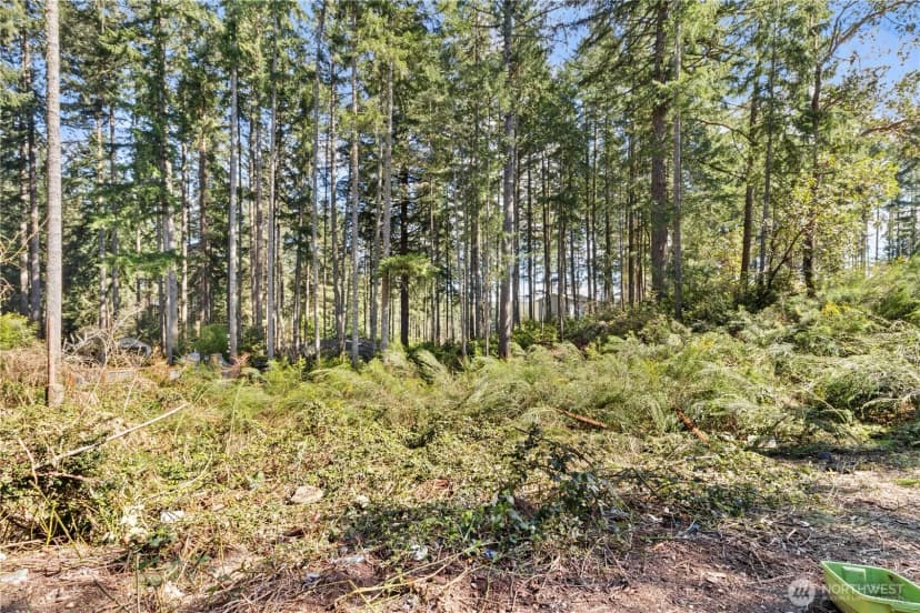 Property photo for 19025 Sw 23rd St, Lakebay photo 2