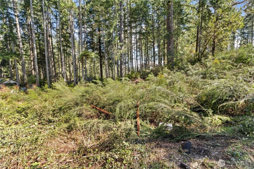 Property photo for 19025 Sw 23rd St, Lakebay photo 4