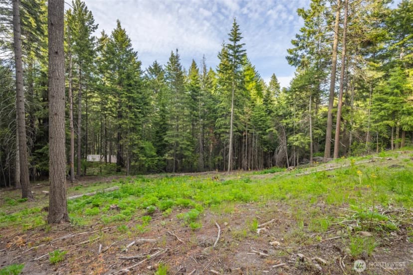 Property photo for 451 Aspen Springs Road, Cle Elum photo 23