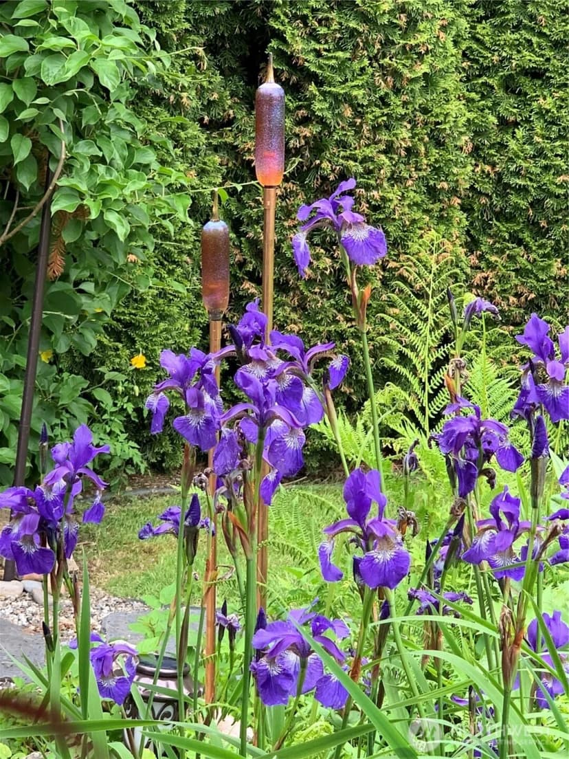 Property photo for 11613 25th Avenue Se, Everett photo 28