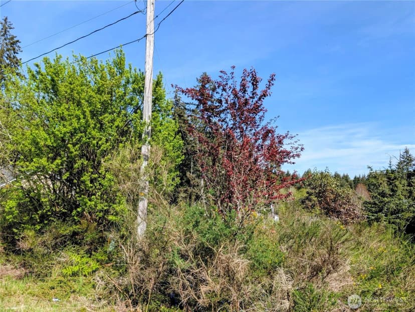 Property photo for 2501 195th Avenue Sw, Lakebay photo 4