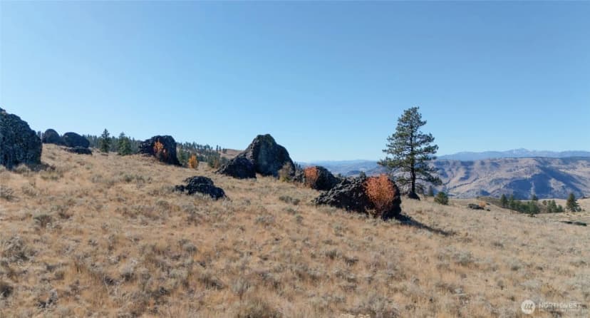 Property photo for 54 Wolf Holler Road, Waterville photo 11
