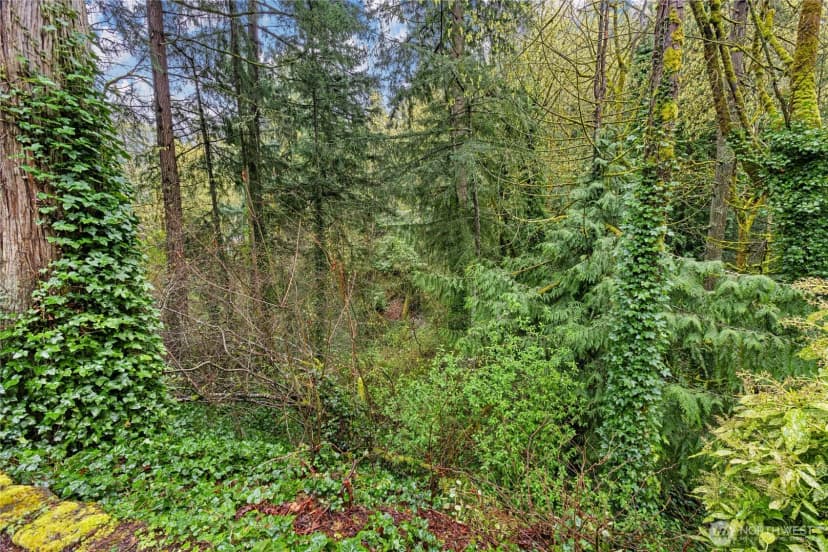 Property photo for 585 Mt Index Place Sw, Issaquah photo 32