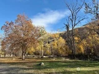 Property photo for 13761 Asotin Creek Road, Asotin photo 15