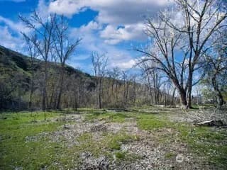 Property photo for 13761 Asotin Creek Road, Asotin photo 23
