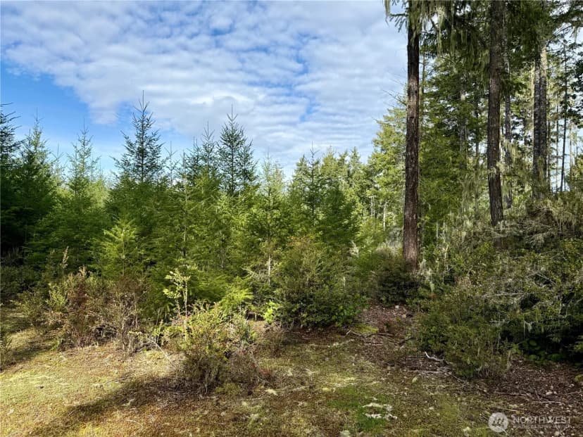 Property photo for 7288 Beauchamp Lane Nw, Seabeck photo 6