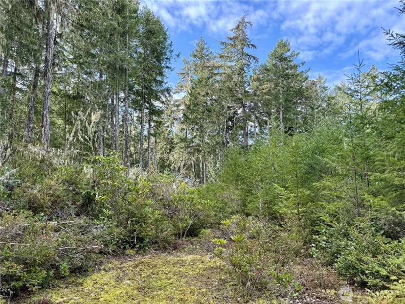 Property photo for 7288 Beauchamp Lane Nw, Seabeck photo 7