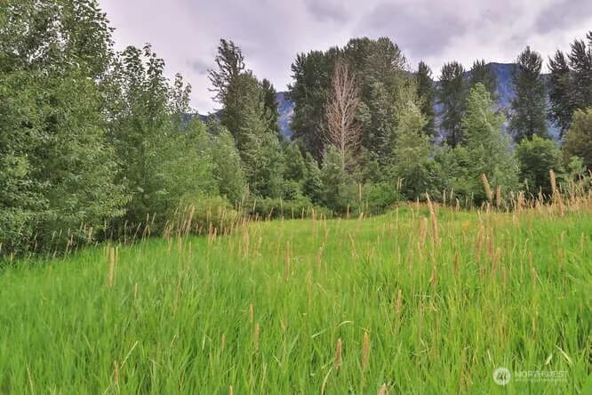 Property photo for 0 Nna Lake Wenatchee Highway, Lake Wenatchee photo 6
