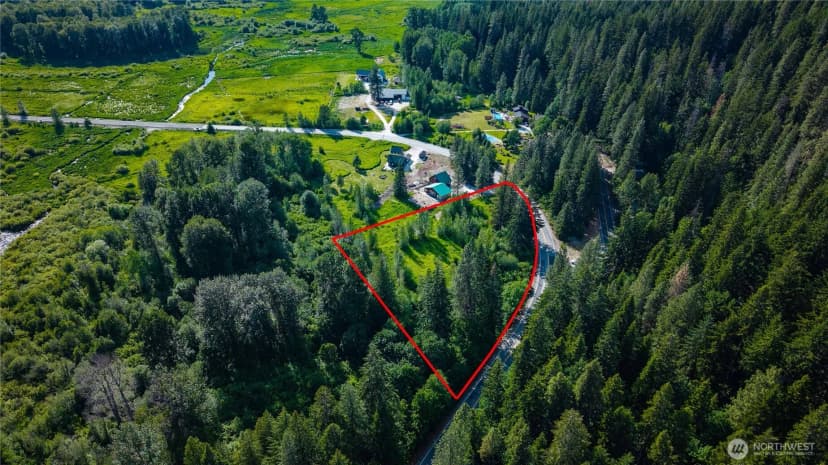 Property photo for 0 Nna Lake Wenatchee Highway, Lake Wenatchee photo 19