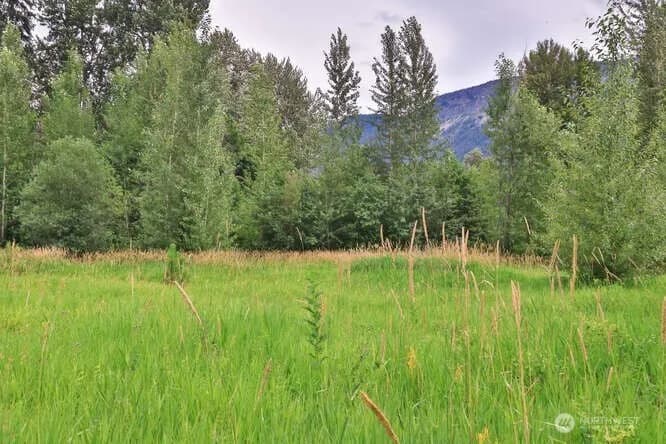 Property photo for 0 Nna Lake Wenatchee Highway, Lake Wenatchee photo 7