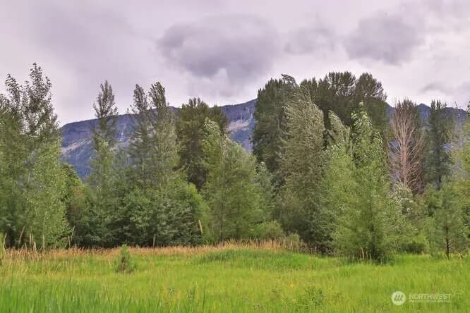 Property photo for 0 Nna Lake Wenatchee Highway, Lake Wenatchee photo 8