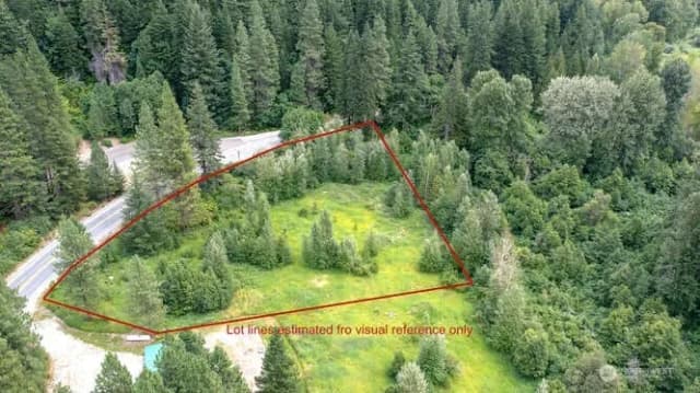 Property photo for 0 Nna Lake Wenatchee Highway, Lake Wenatchee photo 4