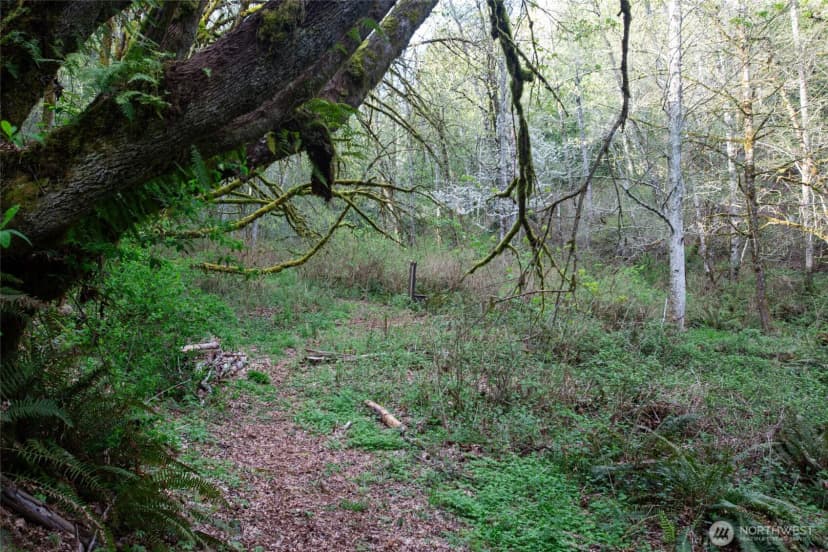Property photo for 13101 Olalla Valley Road Se, Olalla photo 32
