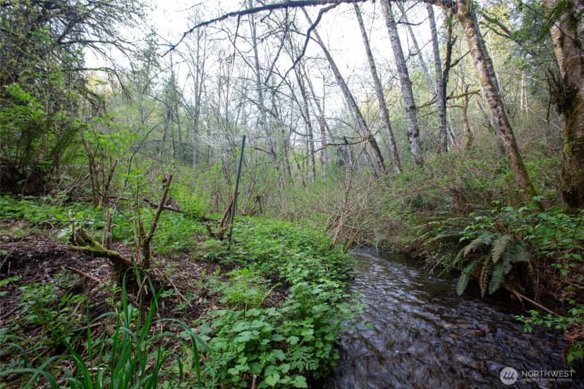 Property photo for 13101 Olalla Valley Road Se, Olalla photo 31