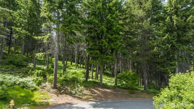 Property photo for 351 Quick Creek Lane, Cle Elum photo 3