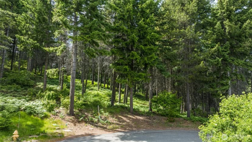 Property photo for 351 Quick Creek Lane, Cle Elum photo 3