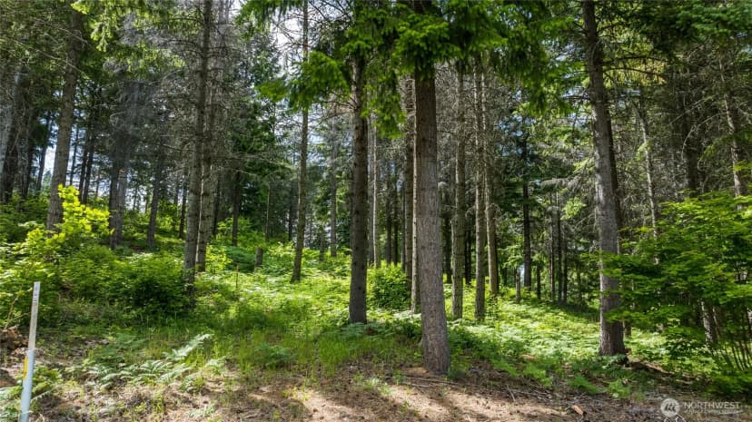 Property photo for 351 Quick Creek Lane, Cle Elum photo 4