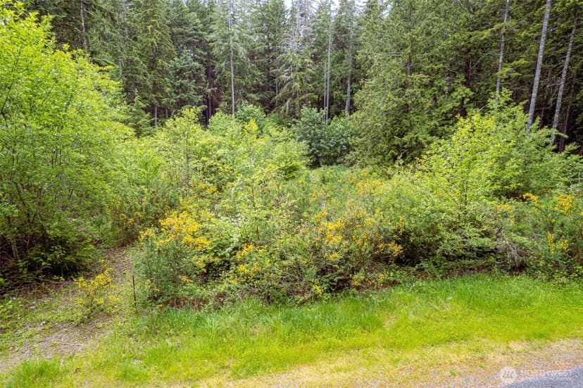 Property photo for 811 Herron Road Sw, Lakebay photo 10