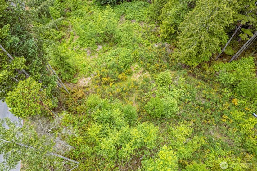 Property photo for 811 Herron Road Sw, Lakebay photo 8
