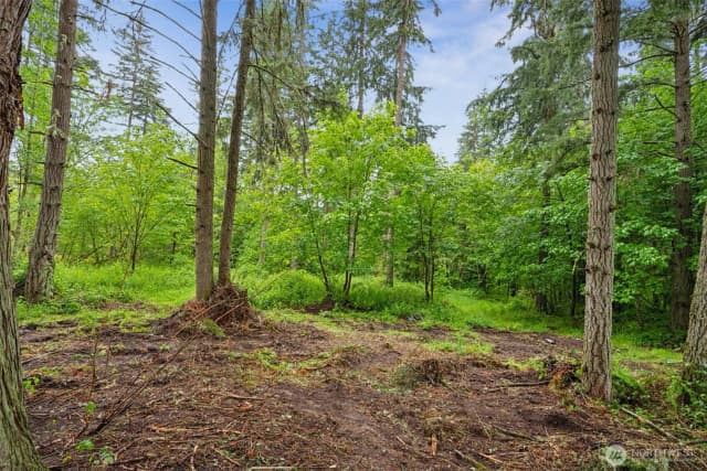 Property photo for 922 322nd Street Ct S, Roy photo 3
