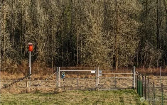 Property photo for 19017 Voight Meadows Road E, Orting photo 18