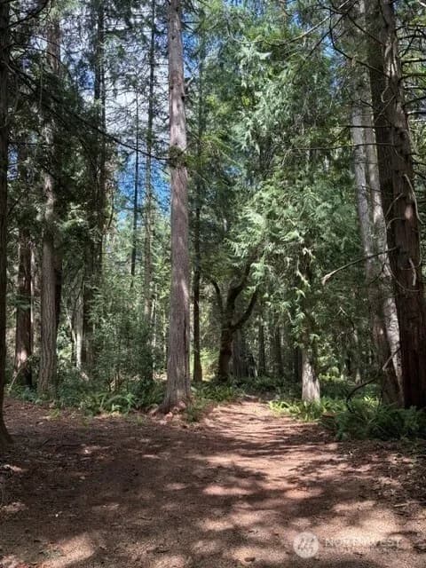 Property photo for 16230 Agate Pass Road #lot B, Bainbridge Island photo 9