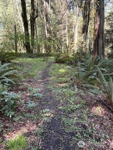 Property photo for 16230 Agate Pass Road #lot B, Bainbridge Island photo 4