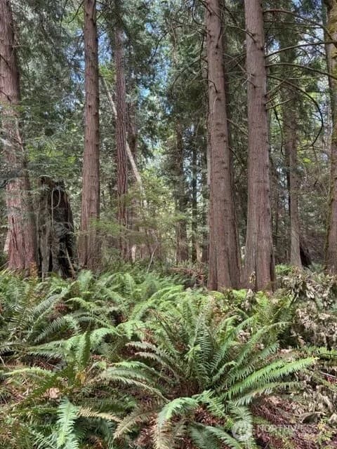 Property photo for 16230 Agate Pass Road #lot B, Bainbridge Island photo 3