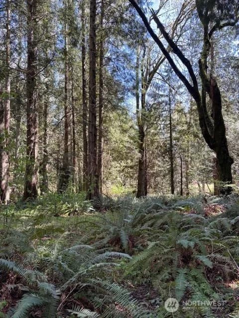 Property photo for 16230 Agate Pass Road #lot B, Bainbridge Island photo 8