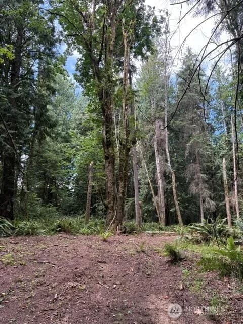 Property photo for 16230 Agate Pass Road #lot B, Bainbridge Island photo 5