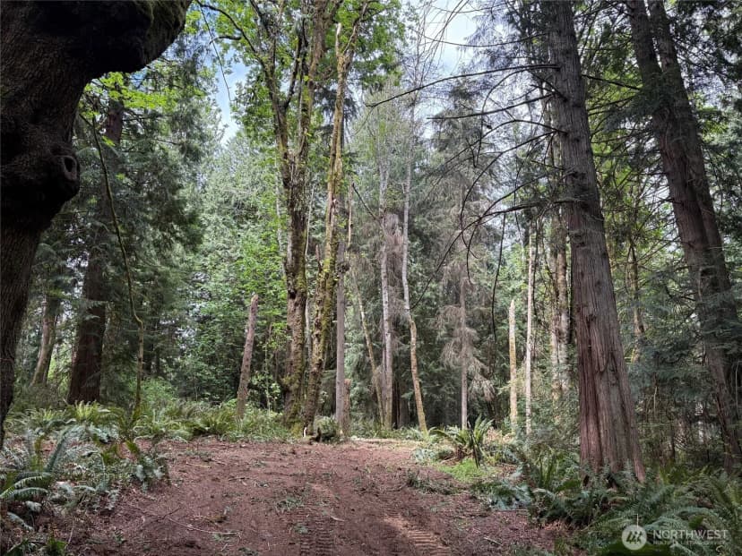 Property photo for 16230 Agate Pass Road #lot B, Bainbridge Island photo 7