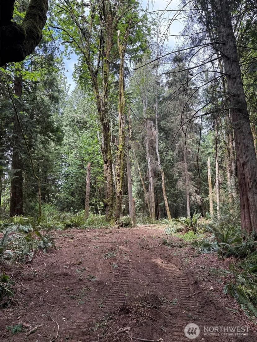 Property photo for 16230 Agate Pass Road #lot B, Bainbridge Island photo 6