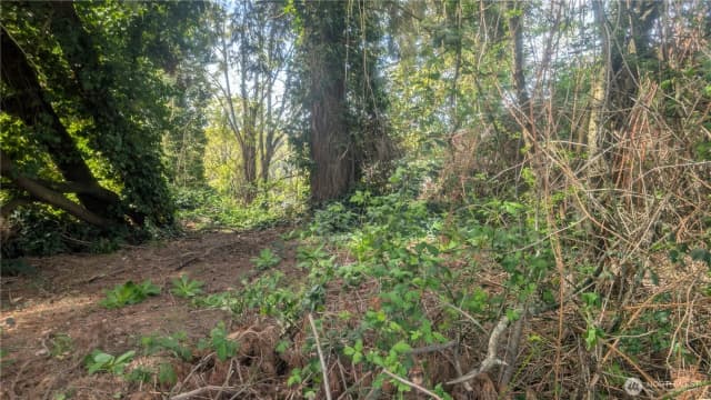 Property photo for 5263 21st Avenue Sw, Seattle