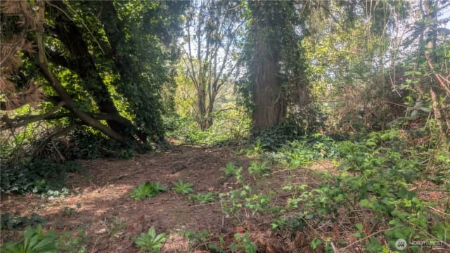 Property photo for 5263 21st Avenue Sw, Seattle photo 4