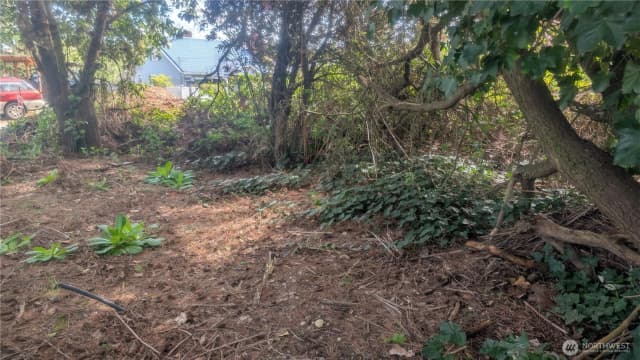 Property photo for 5263 21st Avenue Sw, Seattle photo 5